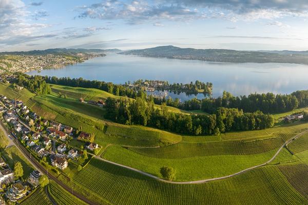Rebbaugebiet von oben