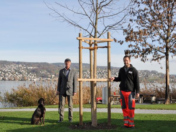 Verein Ökopolis sponsert Linde in der Seeanlage Gerbi 
