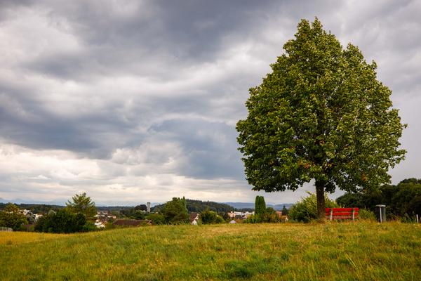 Hügelrundweg Effretikon; 6 Büechli