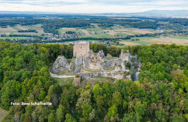 Ruine Landskron