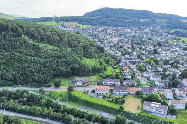 Wald Aesch