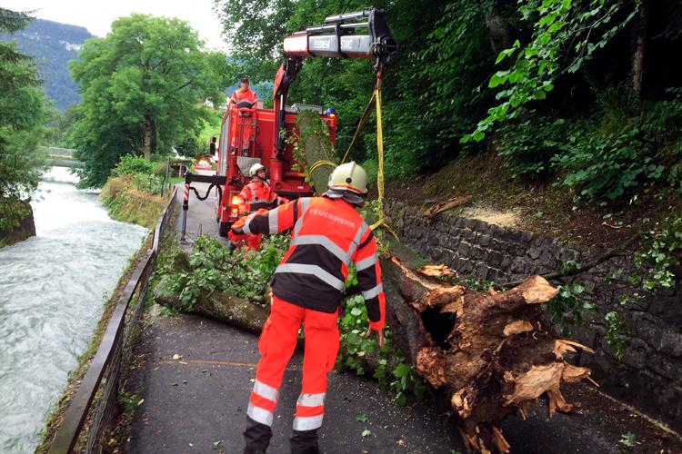 In Oberdorf muss ein umgestürzter Baum weggeräumt werden.