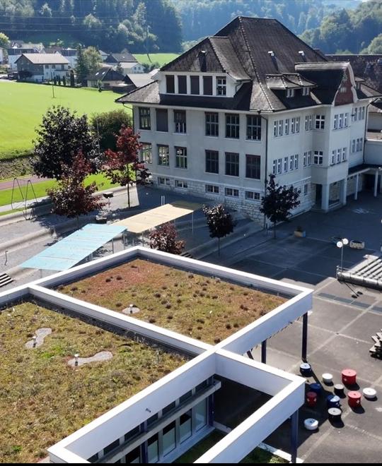 Schule
