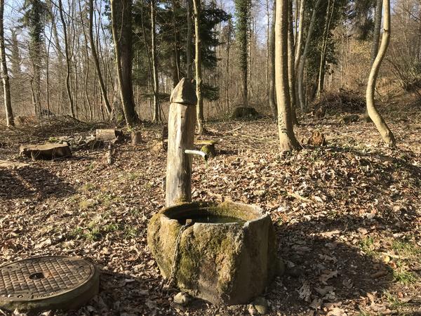 Schlossrundweg Kyburg-Mülau; Nr. 06 Vogelsang
