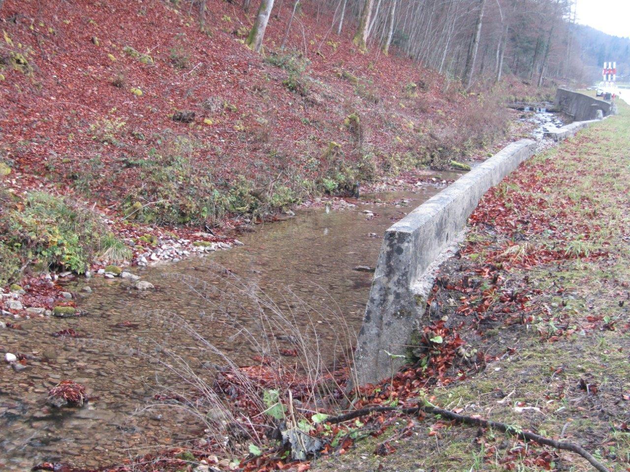 Tag der offenen Baustelle - Dünnernrenaturierung
