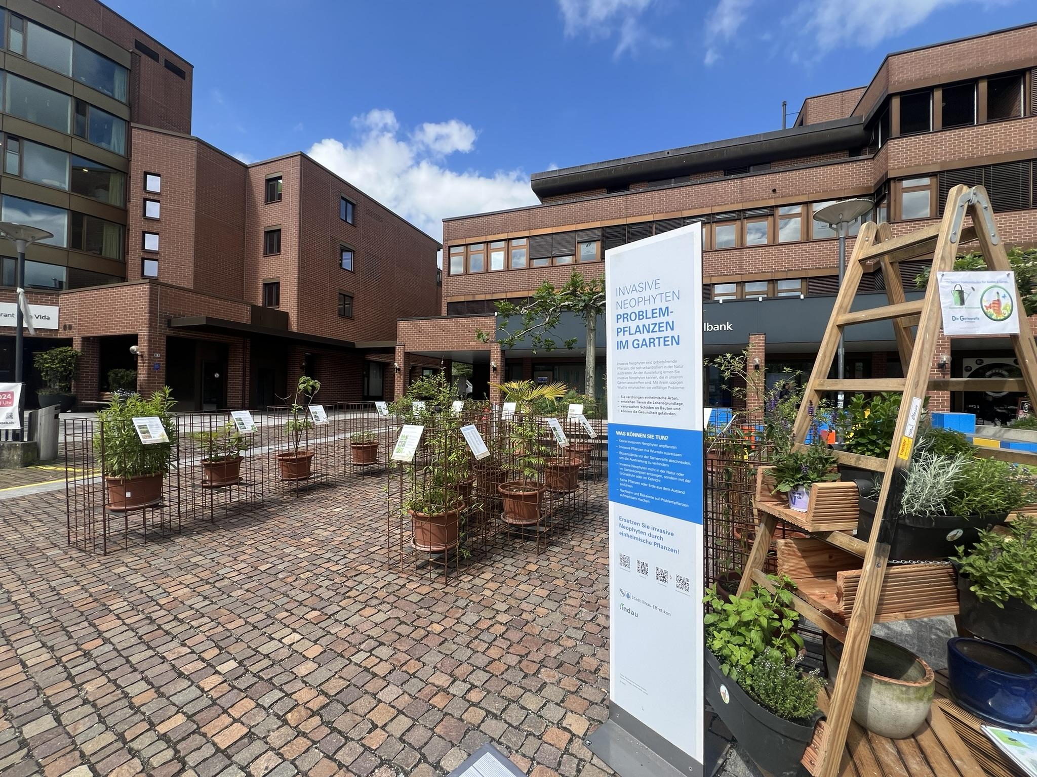 Ausstellung Neophyten
