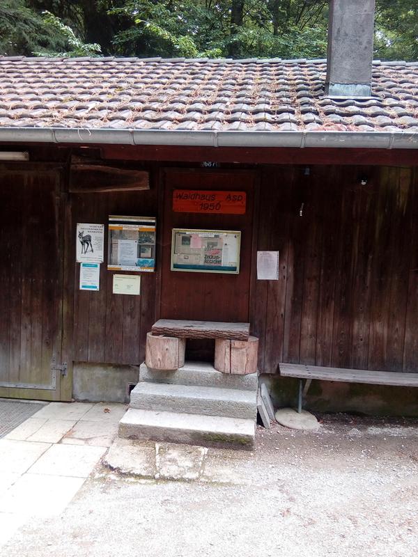Waldhütte Asp