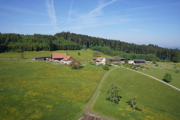 Bild Guldenen