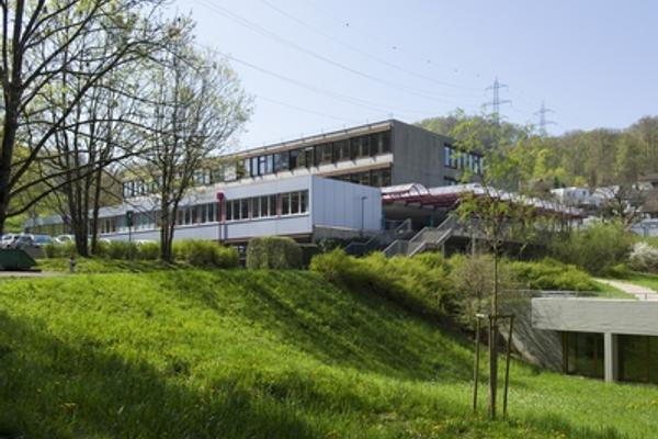 Erli 2