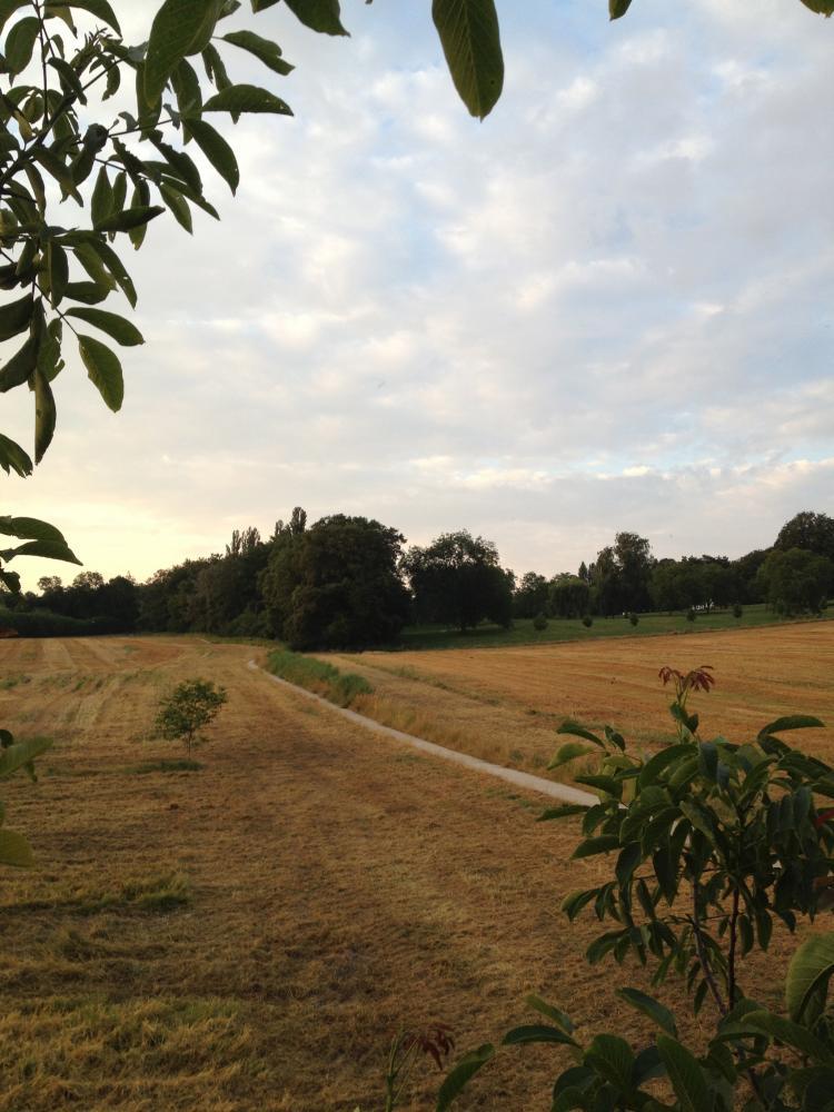 Paysage de Pregny