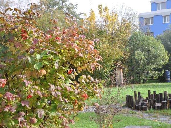 Naturnahe Umgebung 2019