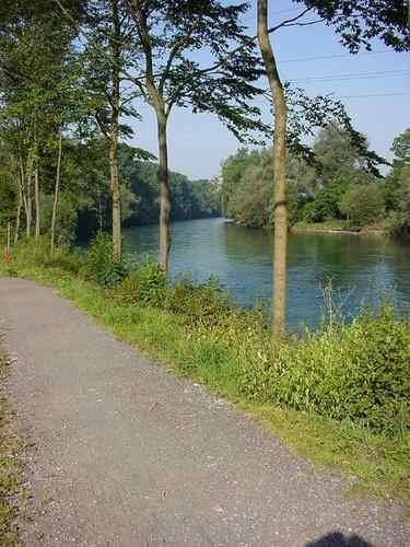 Natur an der Reuss
