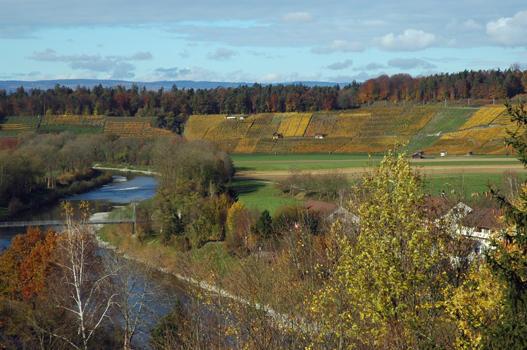 Die Aussicht auf der Schlossterrasse beweist, dass das Schloss genau an der richtigen Stelle errichtet wurde. Der Blick gleitet über die Thur nach Kleinandelfingen und weidet sich am Anblick des gegenüber liegenden Weinbergs, dem Schiterberg. 
Wir begeben uns wieder zurück auf den Schlosshof.
