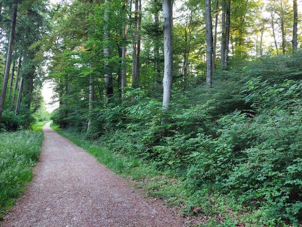 Hügelrundweg Effretikon; 3 Holziberg
