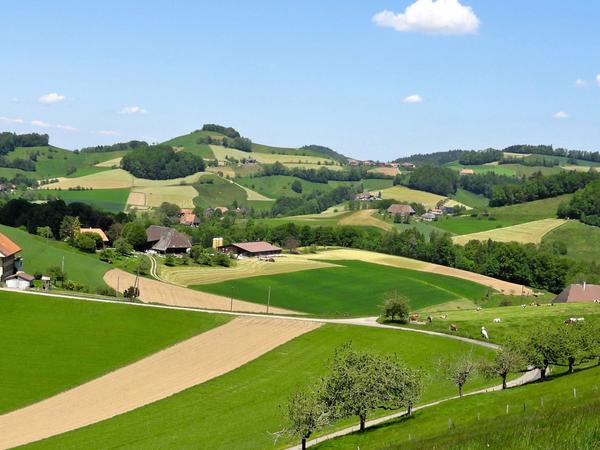 Mistelberg