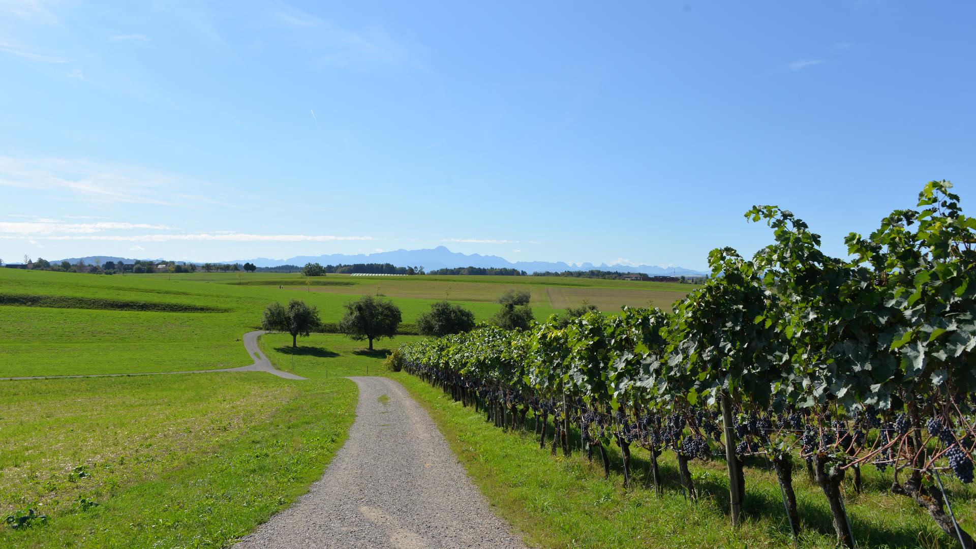 Säntisweg