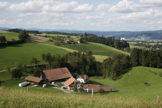 Zenzenhof