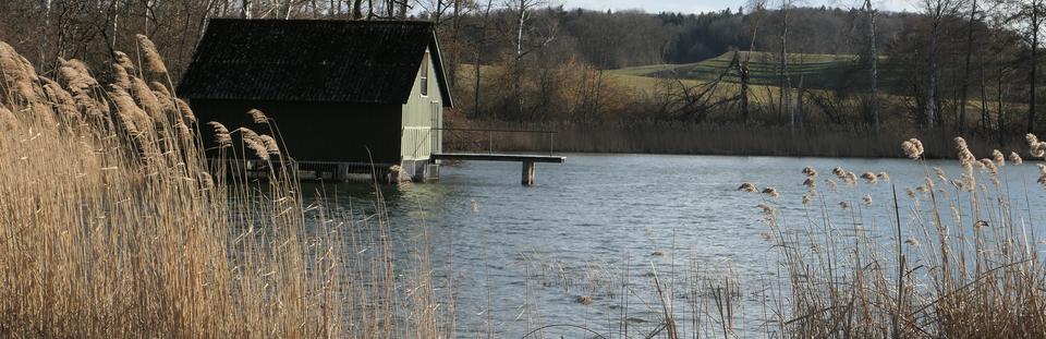 Nussbaumersee