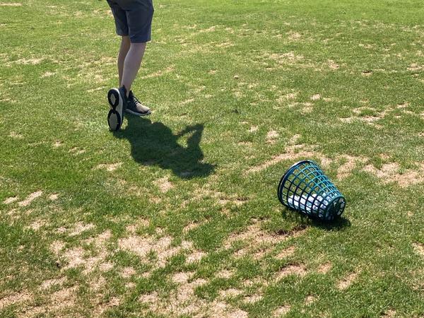 Let's play golf