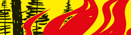 Feuerverbot
