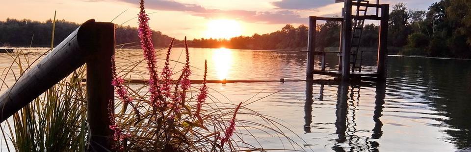 Hüttwilersee