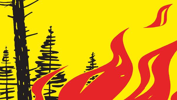 Illustration Feuer im Wald