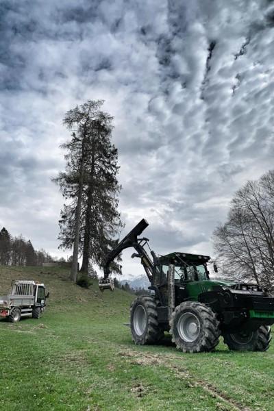 Forst5