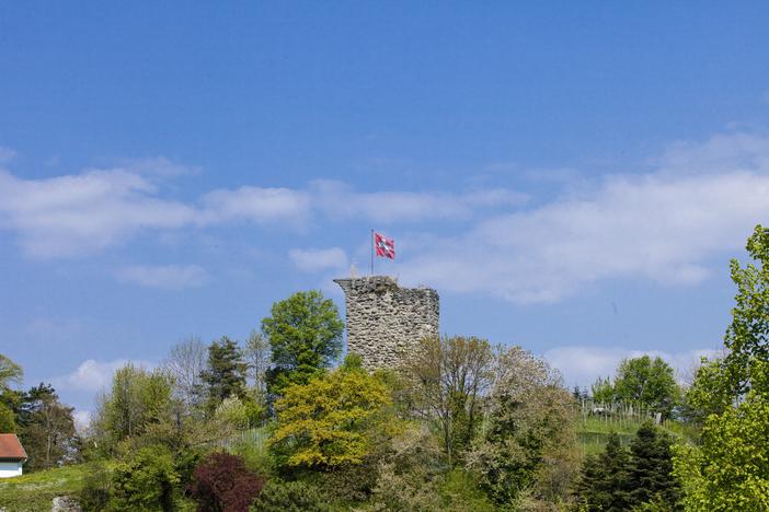 Rheineck Burgstock