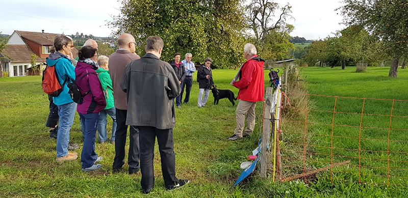 Stadtwanderung 2018 zum Thema Obstbäume