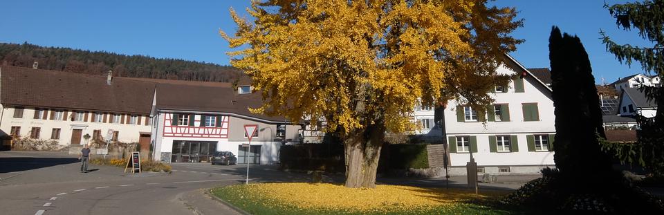 Hüttwilen