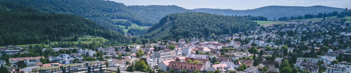 Luftansicht Aesch
