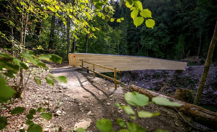 Passerelle du sentier des pauvres