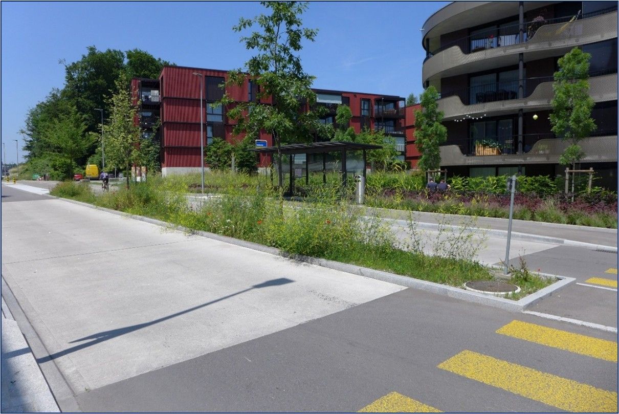 Mit der Entsiegelung und Bepflanzung der 30 Meter langen Mittelinsel entsteht für verschiedene Tiere eine Brücke zwischen den südlichen und den nördlichen Grünräumen.
Das anfallende Strassenwasser in diesem Abschnitt wird über ein Reinigungssystem unterirdisch in die Mittelinsel eingeleitet und von der Vegetation aufgenommen.
Mit diesem System kann die Kanalisation entlastet und das Stadtklima verbessert werden. 
