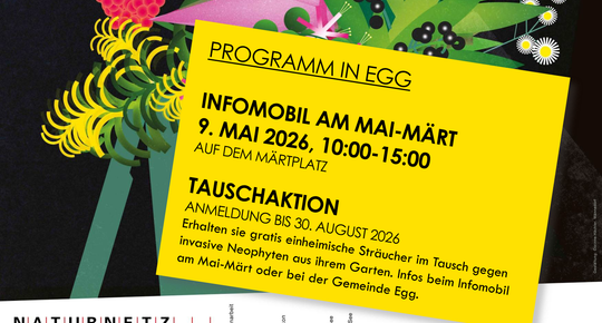 Plakat Fokuswochen