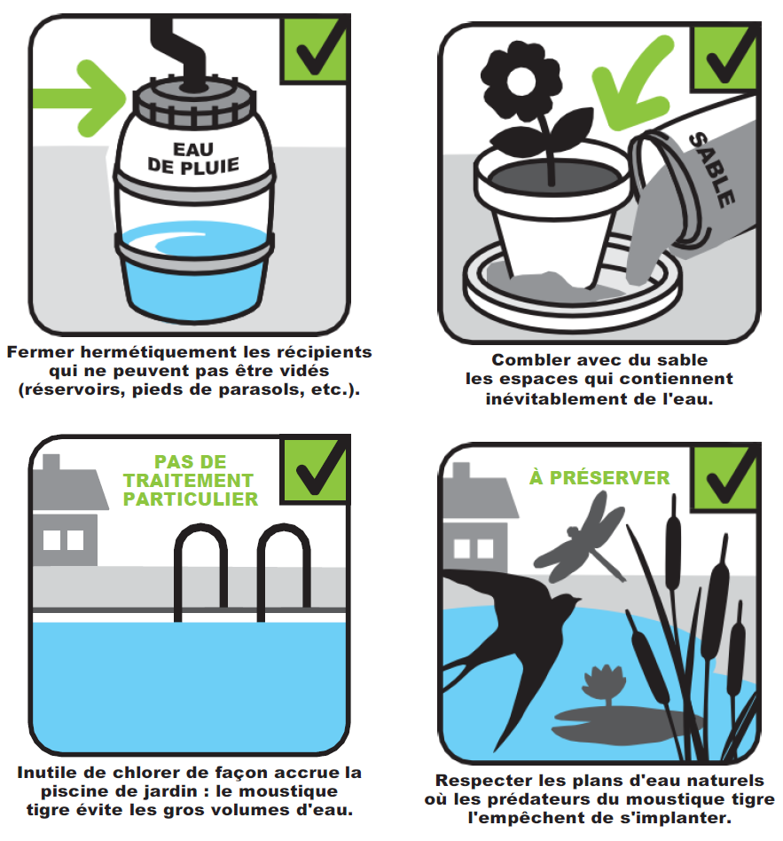 Flyer2 moustique tigre
