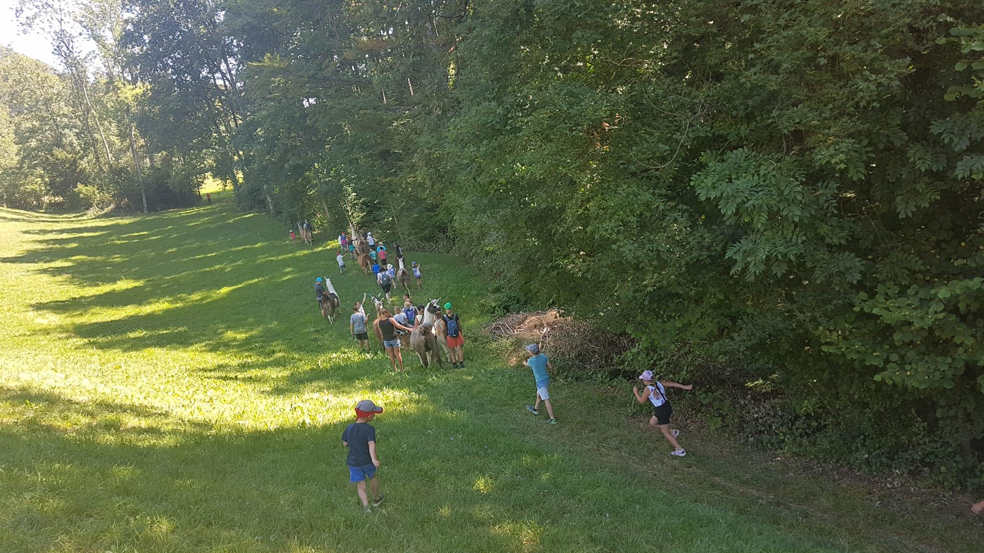Lamatrekking