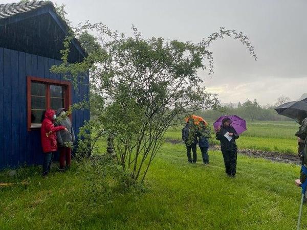 Biodiversität