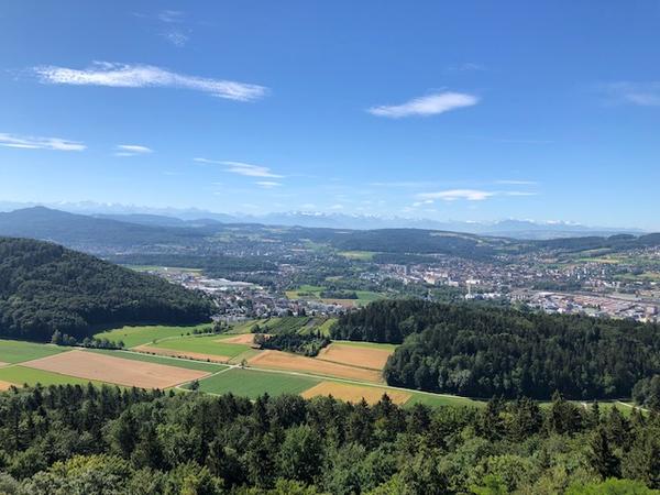 Letzte Schultage