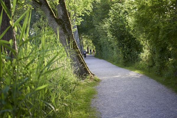 Natur