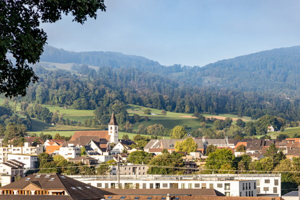 Aesch mit Kirche, Wäldern und Wiesen