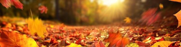 Herbstferien