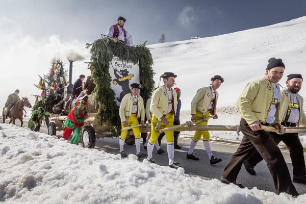 Bloch in Winterlandschaft