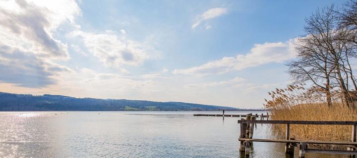 Greifensee 