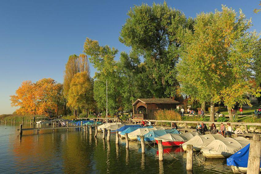 Das Seeufer mit Bootsanlegestellen südlich des Städtchens Greifensee.