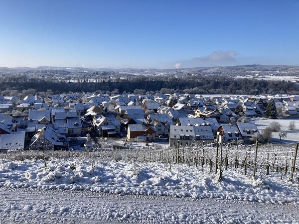 Aussicht auf Dachsen vom Rebberg