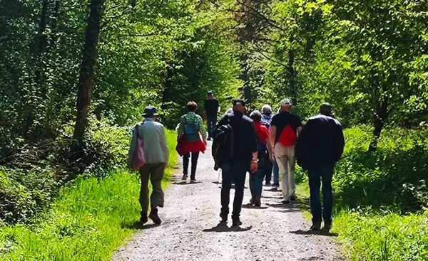 Zäme go Laufe  60+ Parcours Variabel  gelbe Tour bis 4 km