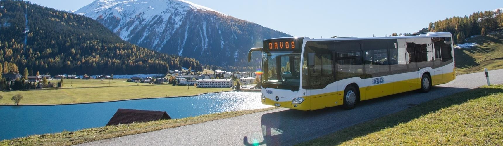 Bus