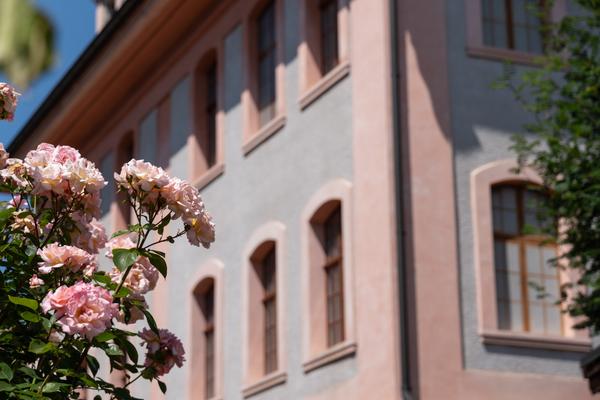 Rathaus mit Rosen