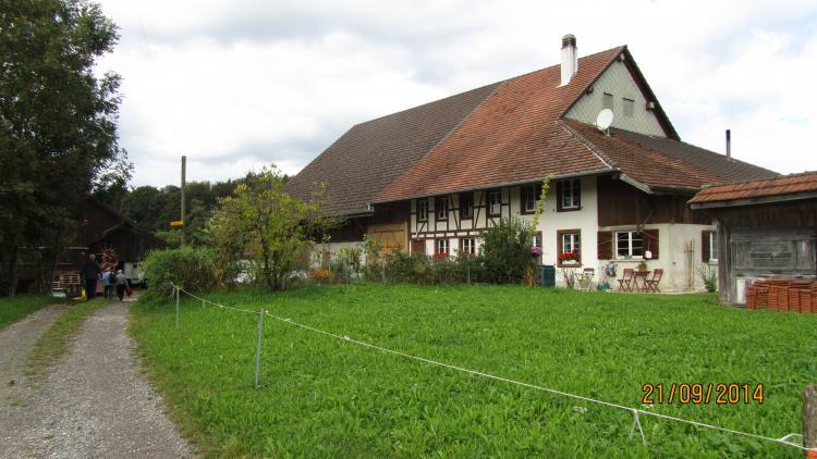 Rothenfluh3