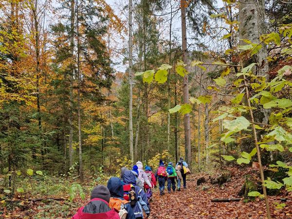 Waldnachmittag Vollzeitkindergarte B